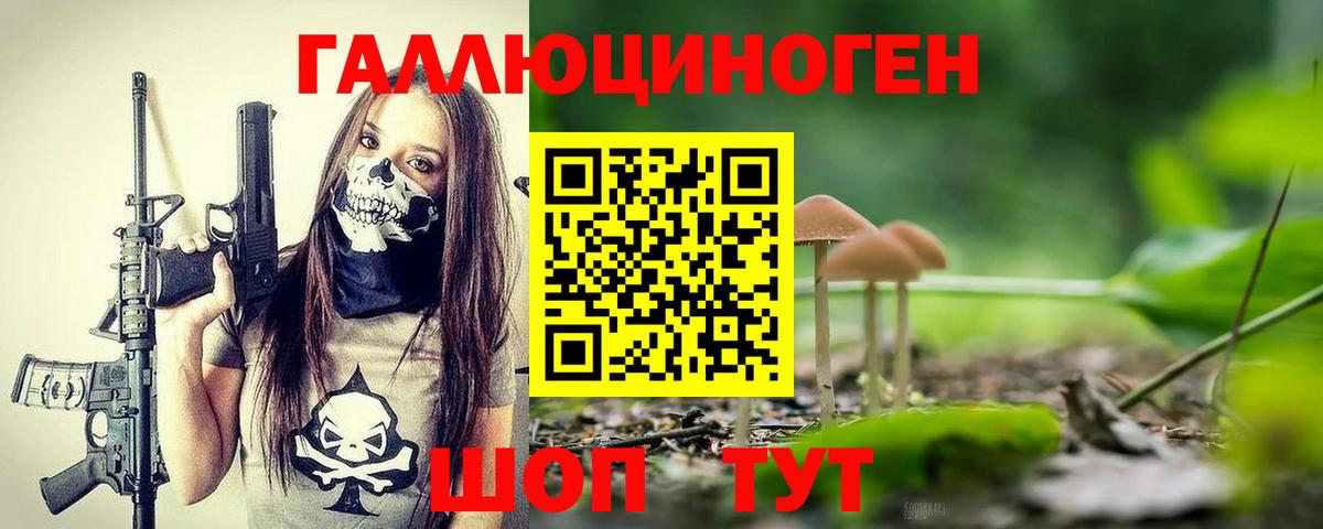 Псилоцибиновые грибы MAGIC MUSHROOMS Дмитров