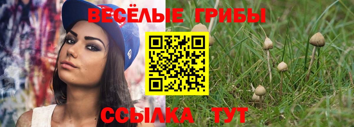 Дмитров  Галлюциногенные грибы мицелий  Вход с VPN 